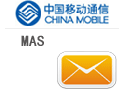 集团客户信息化（MAS）